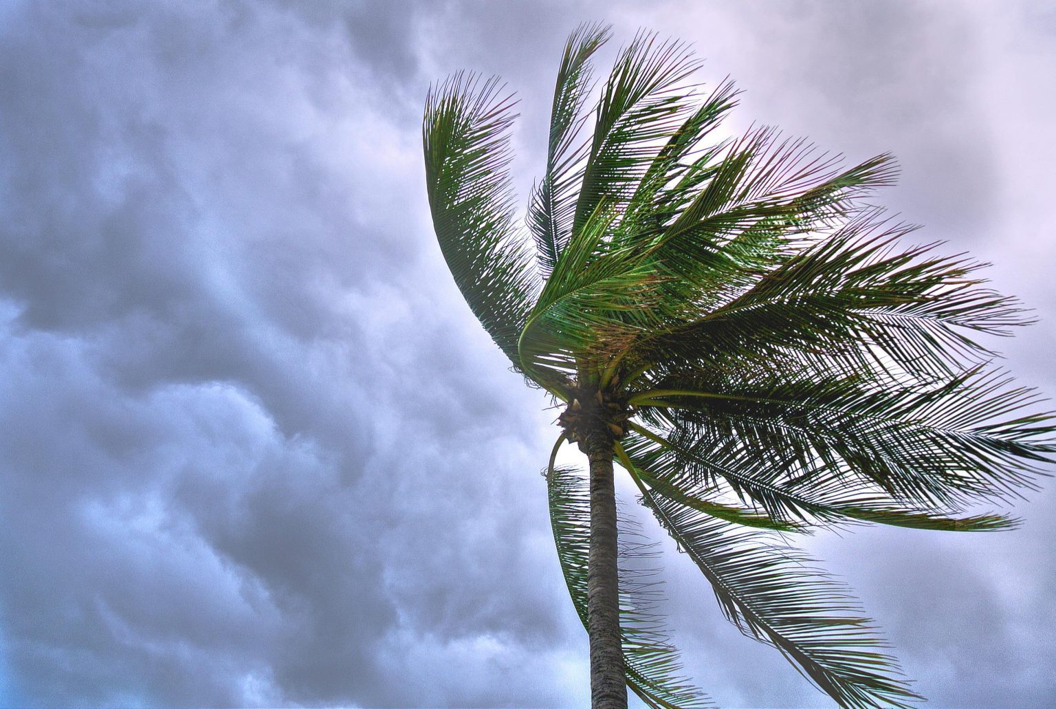 Preparing Your Home Before the Storm: A Guide to Protecting Your Property