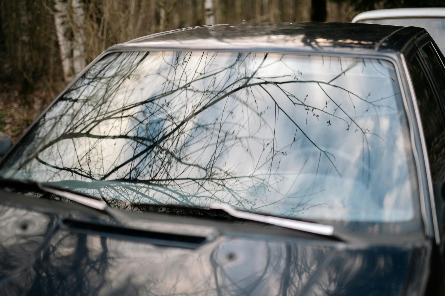 Seeing the Road Clearly: Why Trusting Car Glass Professionals Matters